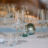 Luma Wine Glass | Set of 6